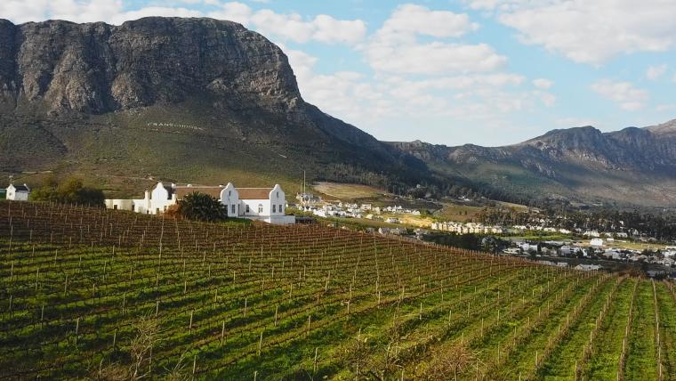 beautiful news franschhoek