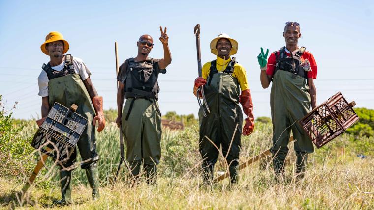 Khayelitsha Biochar Makers remove water hyacinth